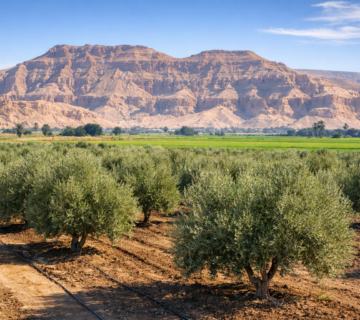 صورة تعبيرية 1