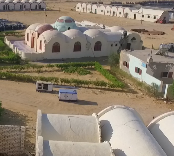 دور شركة تطوير في إدارة المشروع