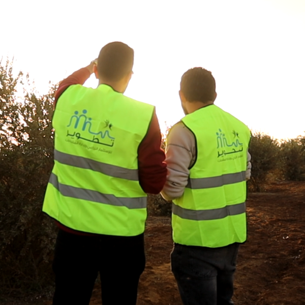 زراعة الجوجوبا في العلمين