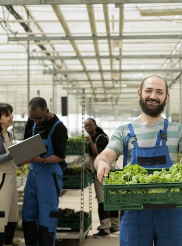 busy-group-farmers-modern-entrepreneurial-bio-agricultural-greenhouse-used-growing-natural-healthy-eco-vegetables-regenerative-agriculture-using-pesticide-free-soil-fertilizer